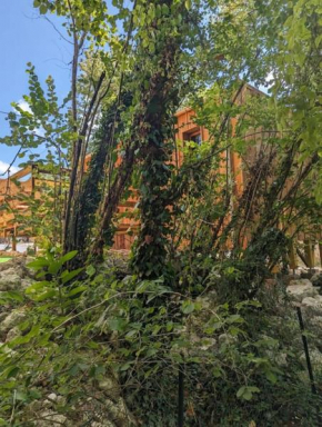 Gîte le noisetier 3-6 personnes